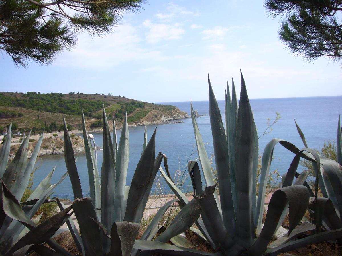 Week End Evasion A Banyuls Sur Mer Dans Pyrenees Orientales Extérieur photo